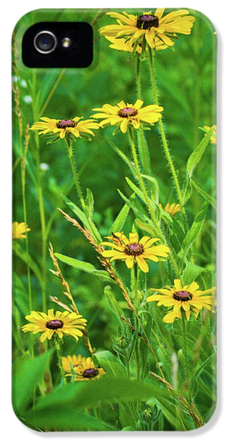 Wildflower iPhone 5 Case featuring the photograph Collection In the Clearing by Bill Pevlor