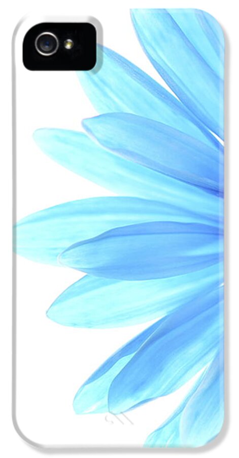 Daisy iPhone 5 Case featuring the photograph Color Me Blue by Rebecca Cozart