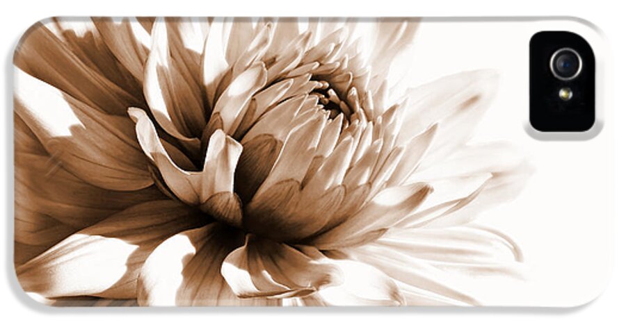 Dahlia iPhone 5 Case featuring the photograph Dahlia Sepial Flower by Jennie Marie Schell