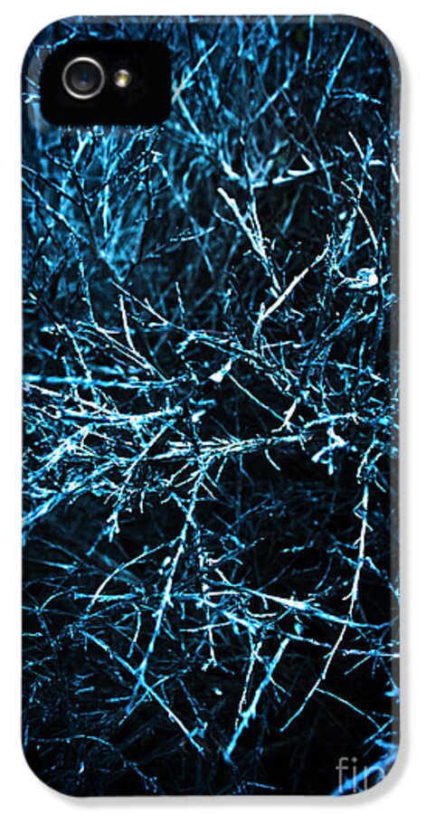Haunted iPhone 5 Case featuring the photograph Dead trees by Jorgo Photography