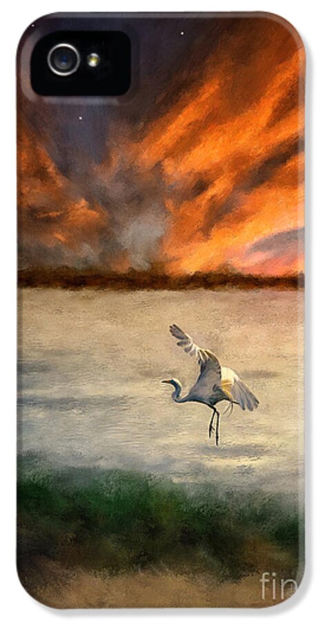 Egret iPhone 5 Case featuring the digital art For Just This One Moment by Lois Bryan