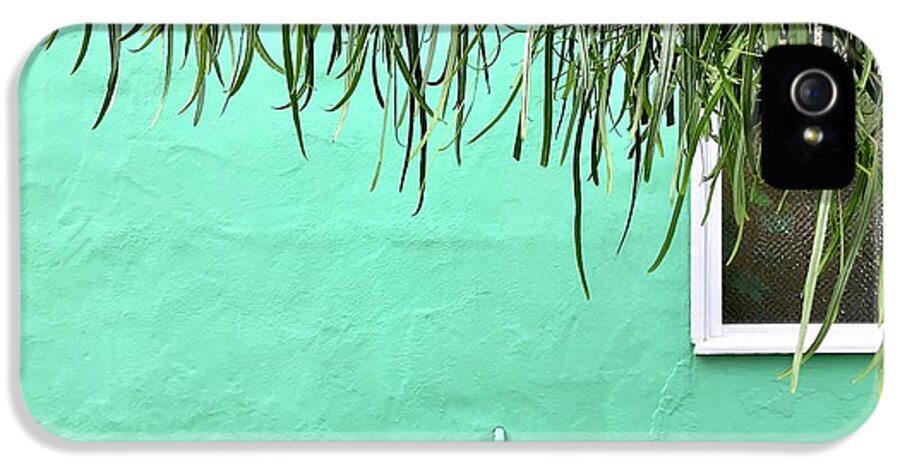  iPhone 5 Case featuring the photograph Green Wall With Leaves by Julie Gebhardt