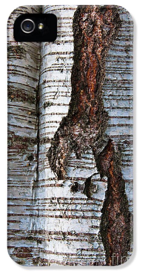 Tree iPhone 5 Case featuring the photograph Interrupted by Werner Padarin