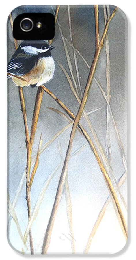 Chickadee iPhone 5 Case featuring the painting Just Thinking by Patricia Pushaw