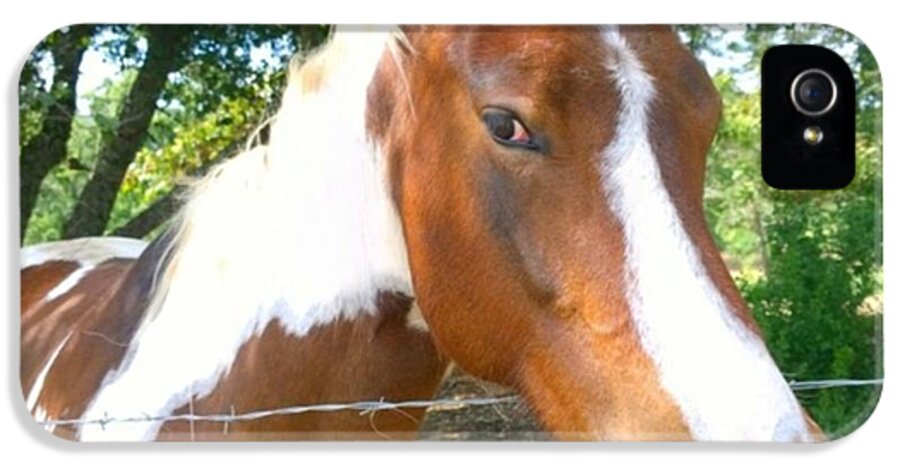 Horse iPhone 5 Case featuring the photograph Last Week, I Met My First #horse! She by Shari Warren
