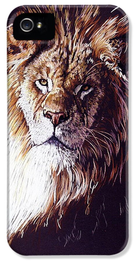 Lion iPhone 5 Case featuring the drawing Maestro by Barbara Keith