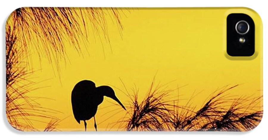 Egret iPhone 5 Case featuring the photograph One Of A Series Taken At Mahoe Bay by John Edwards