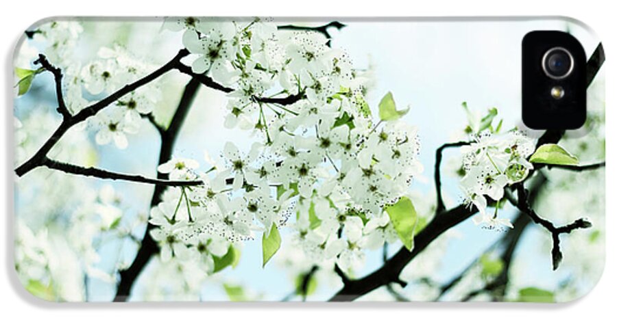 Pear Tree iPhone 5 Case featuring the photograph Pale Pear Blossom by Jessica Jenney