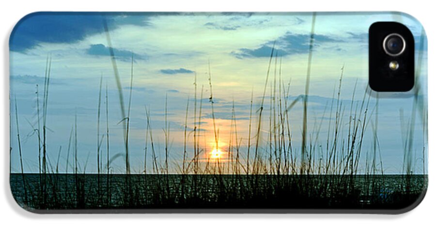 Sunset iPhone 5 Case featuring the photograph Palm Island by Anthony Baatz