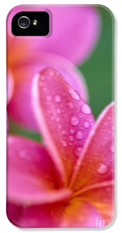 Bloom iPhone 5 Case featuring the photograph Pink Plumeria by Ron Dahlquist - Printscapes