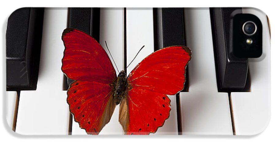 Red Butterfly iPhone 5 Case featuring the photograph Red Butterfly On Piano Keys by Garry Gay