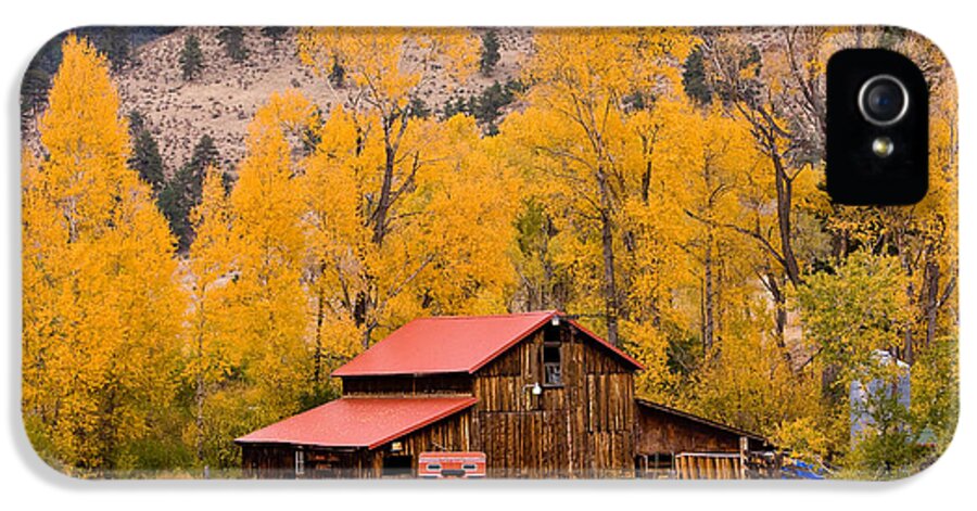 Barns iPhone 5 Case featuring the photograph Rocky Mountain Autumn Ranch Landscape by James BO Insogna