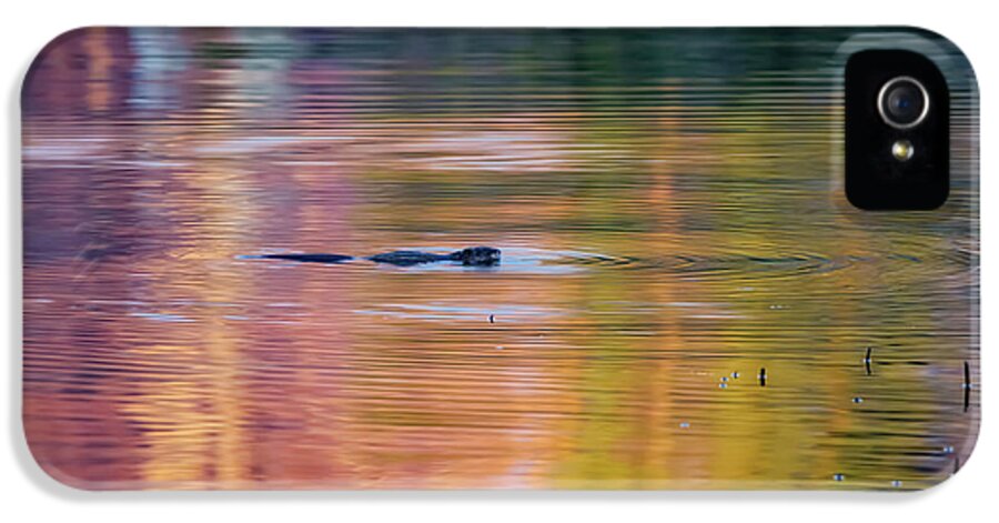 Beaver iPhone 5 Case featuring the photograph Sea of Color by Bill Wakeley