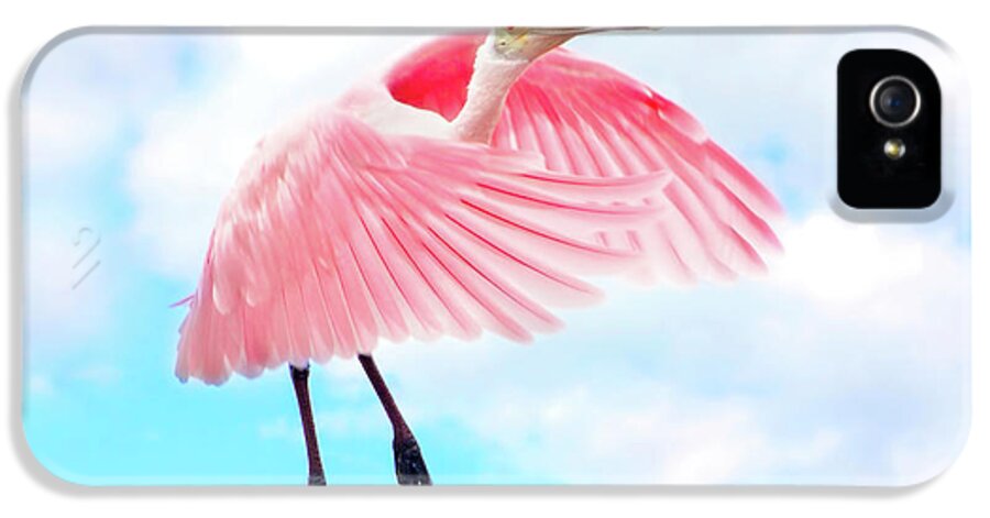 Roseate Spoonbill iPhone 5 Case featuring the photograph Spoonbill Launch by Mark Andrew Thomas
