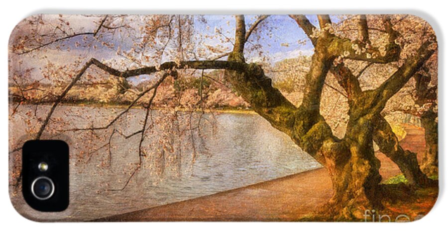Trees iPhone 5 Case featuring the photograph The Cherry Blossom Festival by Lois Bryan