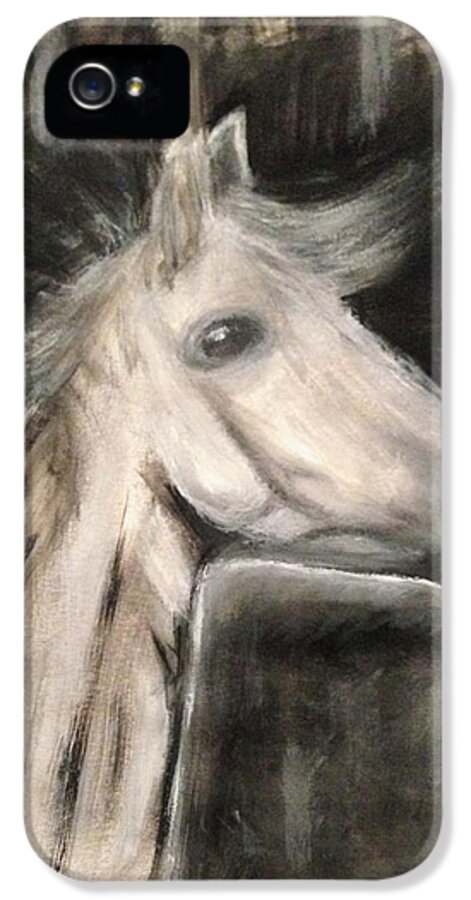 pen Puno meesteres The Horse iPhone 5 Case by Vianney Strick - Fine Art America