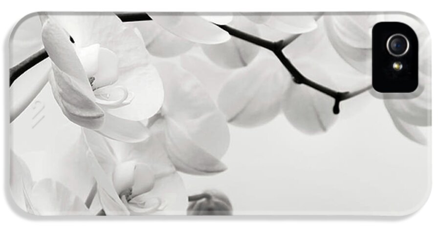 Orchid iPhone 5 Case featuring the photograph The Last Orchid by Wim Lanclus