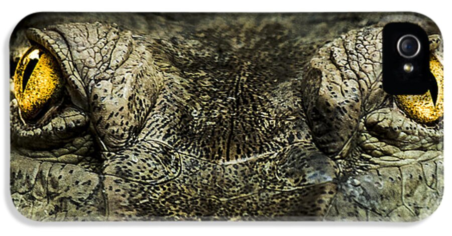 Crocodile iPhone 5 Case featuring the photograph The soul searcher by Paul Neville