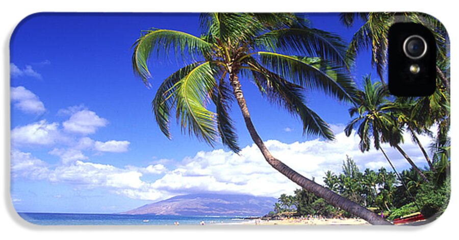 Afternoon iPhone 5 Case featuring the photograph Vibrant Green Palms by Ron Dahlquist - Printscapes