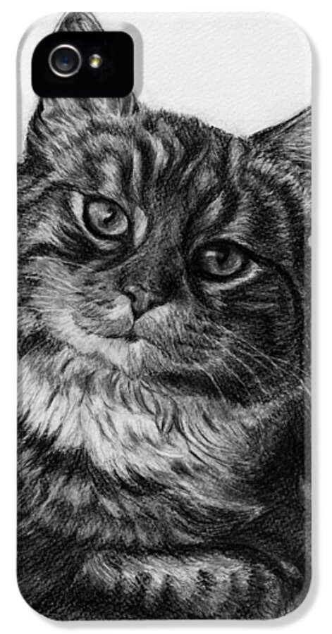 Tabby iPhone 5 Case featuring the drawing What's for Dinner by Jyvonne Inman