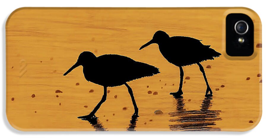 Sunrise iPhone 5 Case featuring the drawing Sandpipers - At - Sunrise by D Hackett