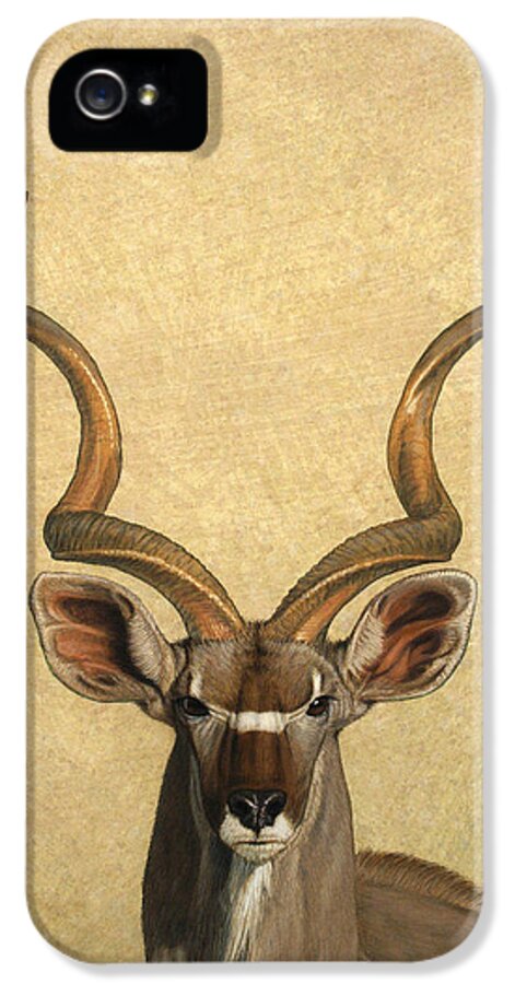 Kudu iPhone 5 Case featuring the painting Kudu by James W Johnson