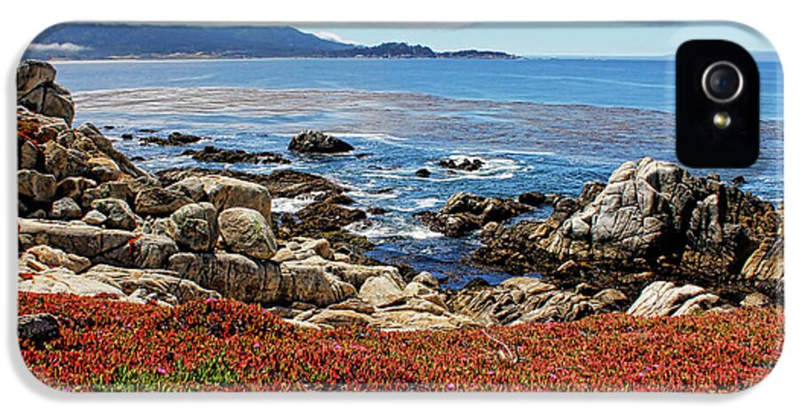 Monterey iPhone 5 Case featuring the photograph Monterey by Judy Vincent
