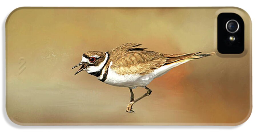 Killdeer iPhone 5 Case featuring the photograph Wading Killdeer by Donna Kennedy