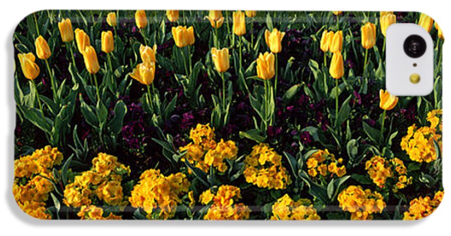 Photography iPhone 5c Case featuring the photograph Flowers In Hyde Park, City #1 by Panoramic Images