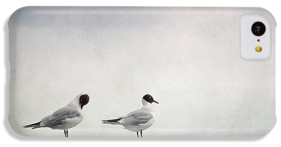 Bird iPhone 5c Case featuring the photograph Seagulls #1 by Priska Wettstein