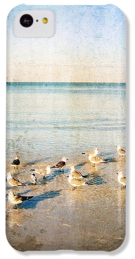 Seagull iPhone 5c Case featuring the painting Beach Combers - Seagull Art by Sharon Cummings by Sharon Cummings