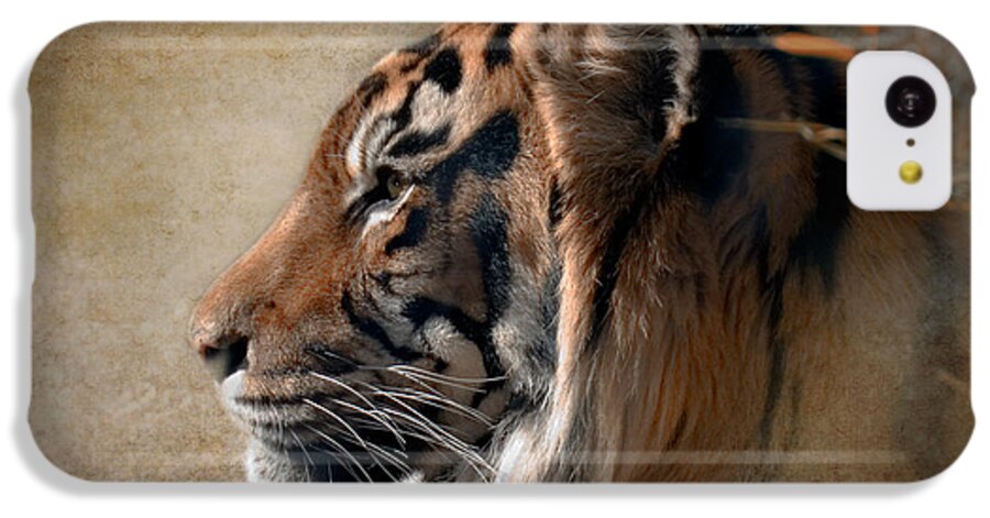 Tiger iPhone 5c Case featuring the photograph Burning Bright by Betty LaRue