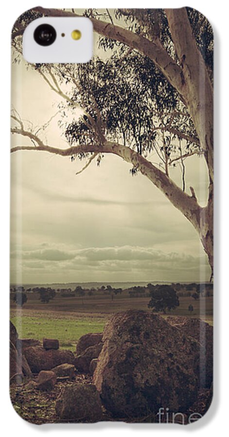  Gumtree iPhone 5c Case featuring the photograph Eldorado Gumtree by Linda Lees