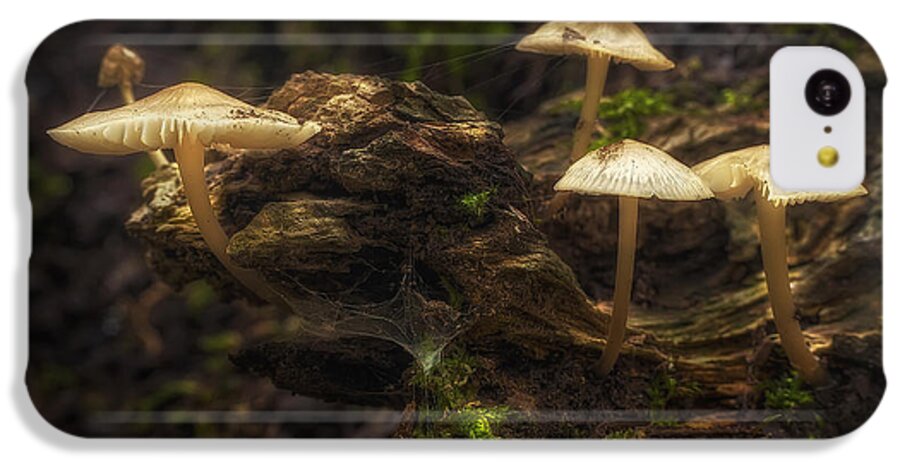 Mushrooms iPhone 5c Case featuring the photograph Enchanted Forest by Scott Norris