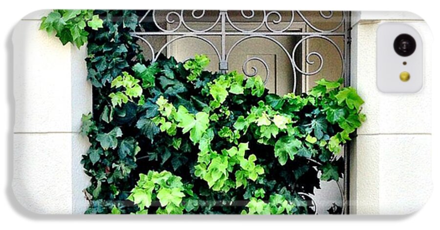Ivy iPhone 5c Case featuring the photograph Ivy by Julie Gebhardt