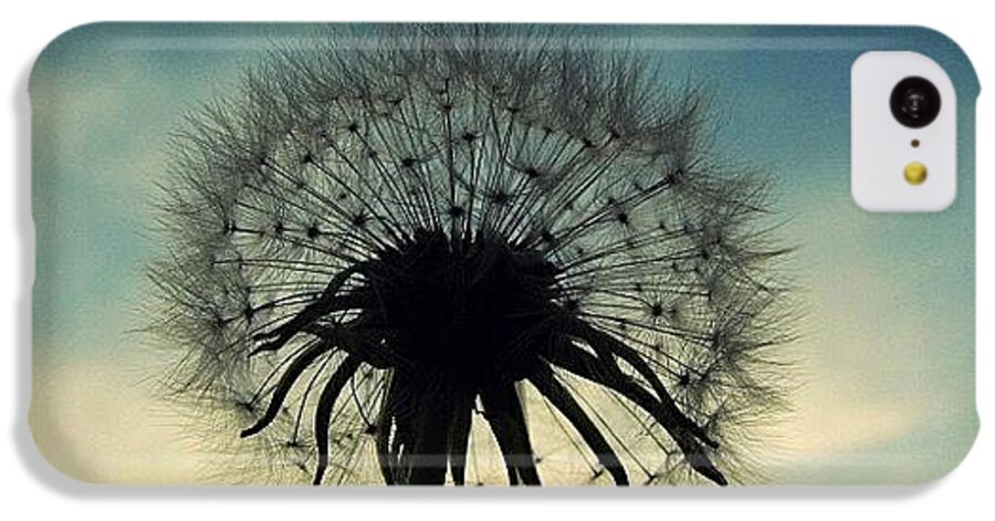 Life iPhone 5c Case featuring the photograph #mgmarts #dandelion #weed #sunset #sun by Marianna Mills
