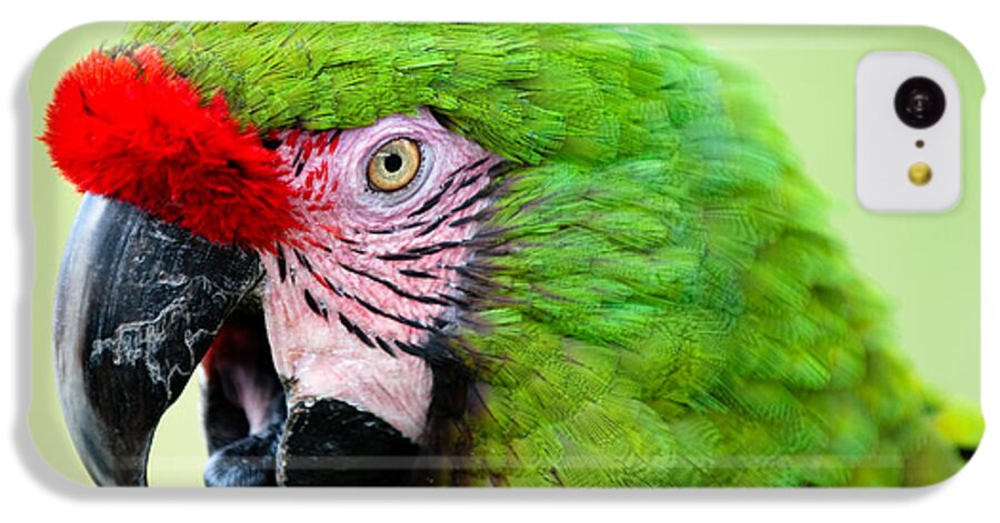 Parrot iPhone 5c Case featuring the photograph Parrot by Sebastian Musial
