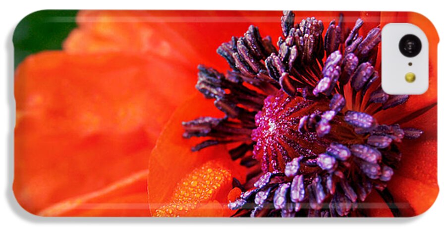 Poppies iPhone 5c Case featuring the photograph Poppy's Purple Passion by Bill Pevlor