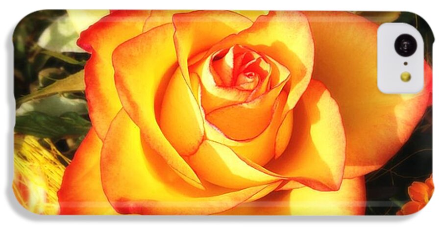 Rose iPhone 5c Case featuring the photograph Pretty orange rose by Matthias Hauser