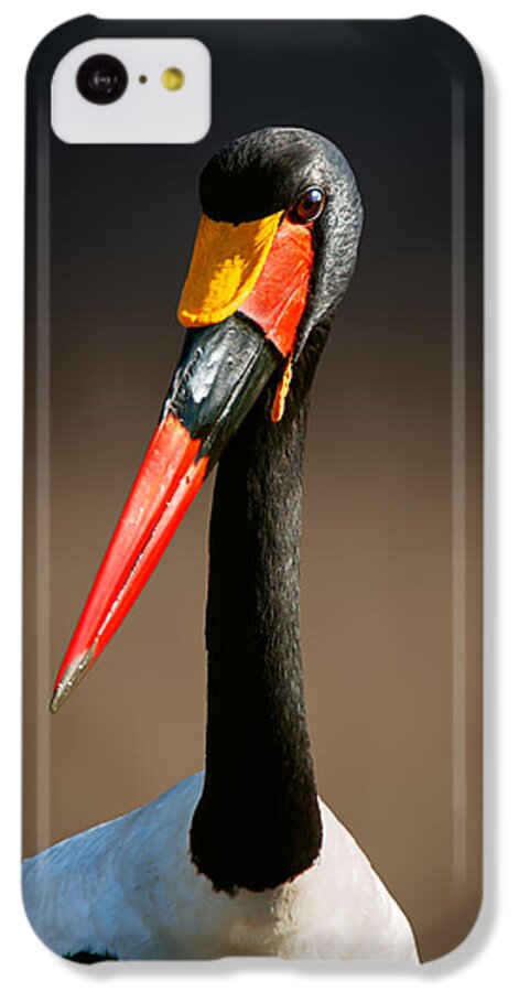 Saddle-billed iPhone 5c Case featuring the photograph Saddle-billed stork portrait by Johan Swanepoel
