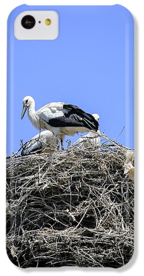 Armenia iPhone 5c Case featuring the photograph Storks Nesting by Photostock-israel
