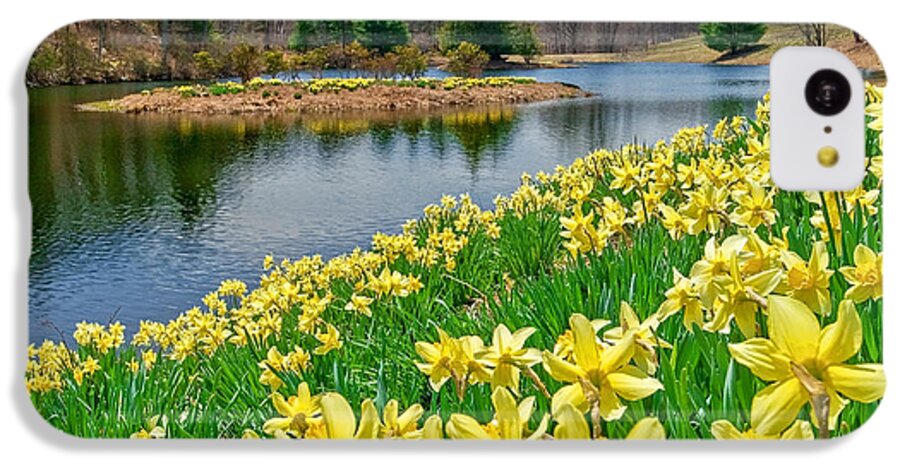 Daffodil iPhone 5c Case featuring the photograph Sunny Daffodil by Bill Wakeley