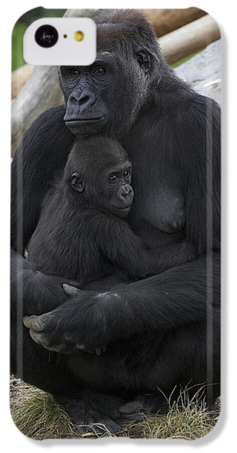 Feb0514 iPhone 5c Case featuring the photograph Western Lowland Gorilla Mother And Baby by San Diego Zoo