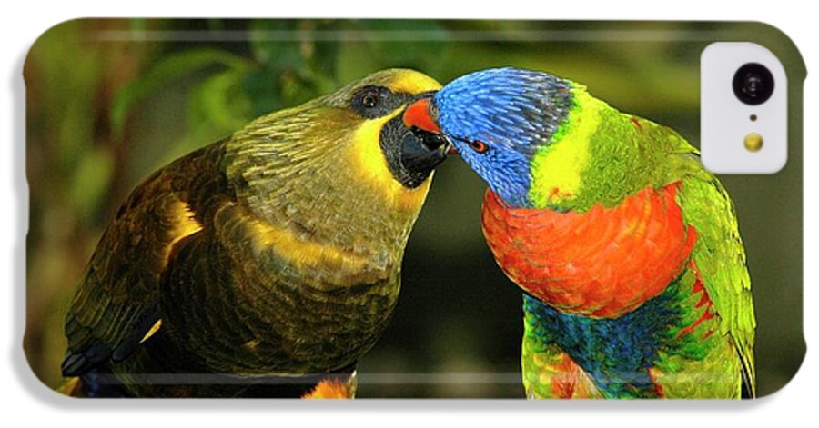 Lorikeet iPhone 5c Case featuring the photograph Kissing Birds by Carolyn Marshall