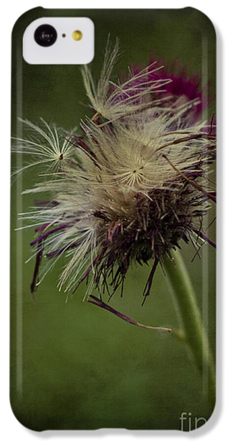 Seeds iPhone 5c Case featuring the photograph Ready to fly away... by Clare Bambers