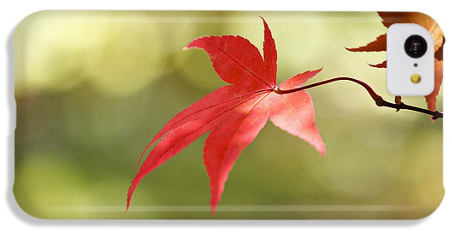 Japanese iPhone 5c Case featuring the photograph Red leaf. by Clare Bambers