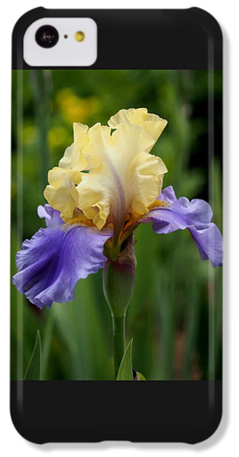 Iris iPhone 5c Case featuring the photograph Blue Yellow Iris Germanica by Rona Black