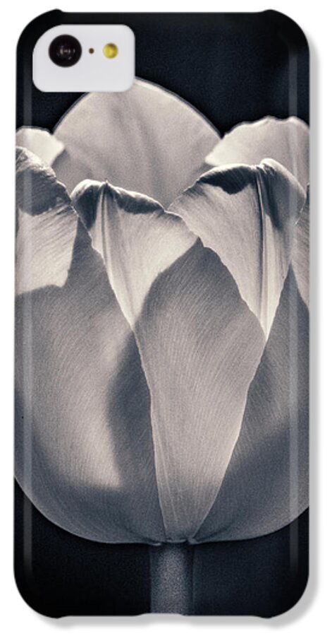 Flower iPhone 5c Case featuring the photograph Brooding Virtue by Bill Pevlor