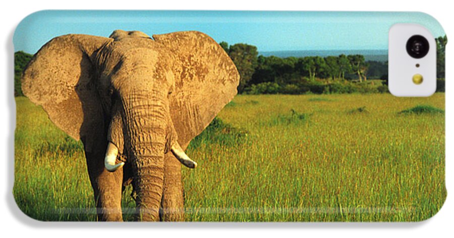 Africa iPhone 5c Case featuring the photograph Elephant by Sebastian Musial