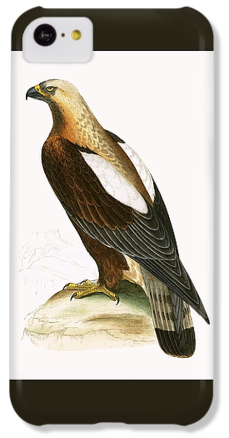 Imperial Eagle iPhone 5c Case featuring the painting Imperial Eagle by English School